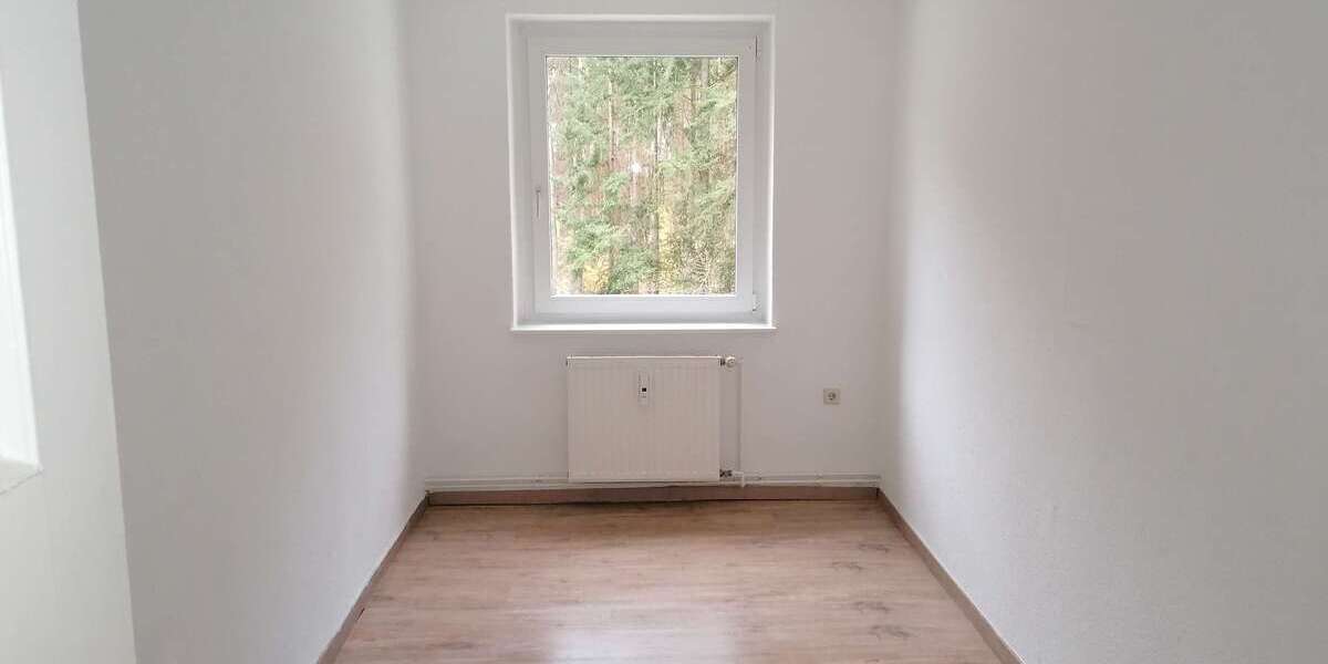 Renovierte 4 Zimmer Wohnung mit EBK in der Waldsiedlung 4 zimmer