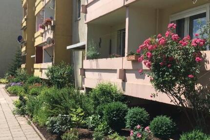 Sehr schöne 1 Raumwohnung Parterre Artern zu vermieten. 1 zimmer