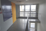 Etagenwohnung Celle - 2 Zimmer, 47 m&sup2;, 495&euro; | Angebot:26441375