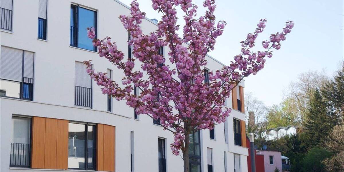 Etagenwohnung Mönchengladbach Stadtmitte - 4 Zimmer, 128 m&sup2;, 1.714&euro; | Angebot:26453952