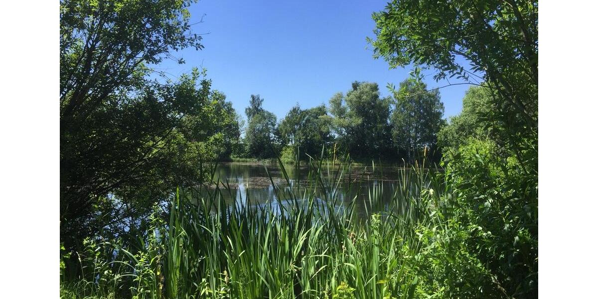 Etagenwohnung Wilsdruff - 2 Zimmer, 61 m&sup2;, 497&euro; | Angebot:24627456