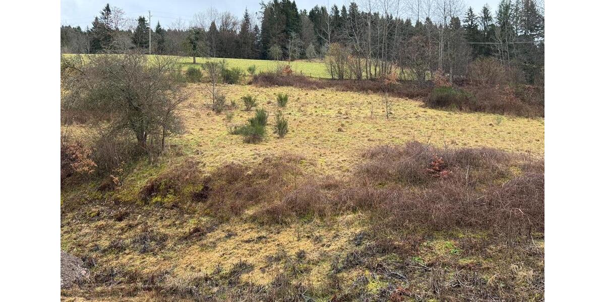 Loft - Studio - Atelier Nordrach - 2 Zimmer, 60 m&sup2;, 890&euro; | Angebot:24870090