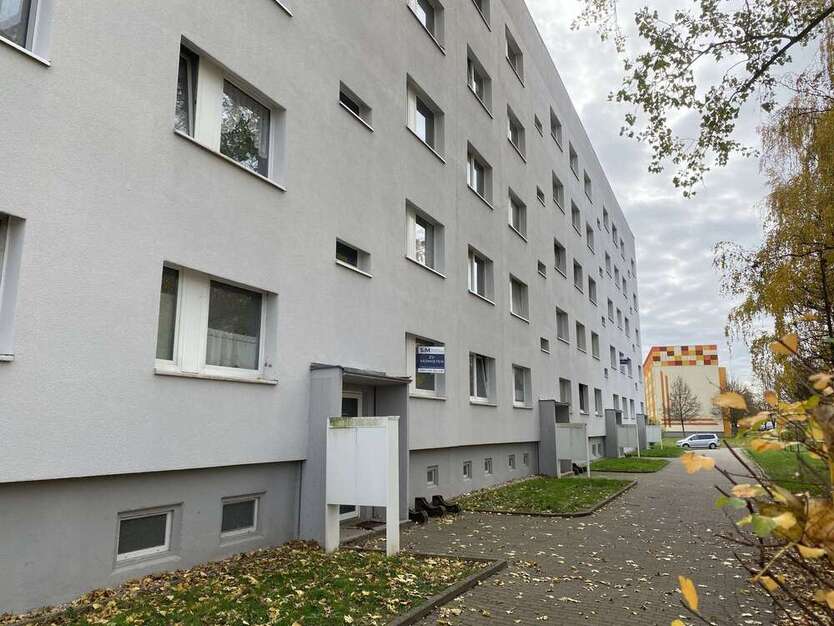 Wohnung zum Mieten in Grimma 335,50 € 61 m² 3 zimmer