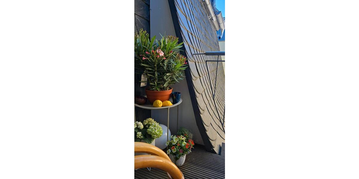 Etagenwohnung Kastellaun - 2 Zimmer, 84 m&sup2;, 936&euro; | Angebot:26705179