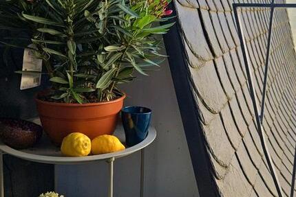 Wohnung Kastellaun - 2 Zimmer, 84 m&sup2;, 936&euro; | Angebot:26705179