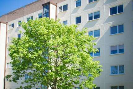 Wohnung zum Mieten in Leipzig 753,53 € 88.65 m² 4 zimmer