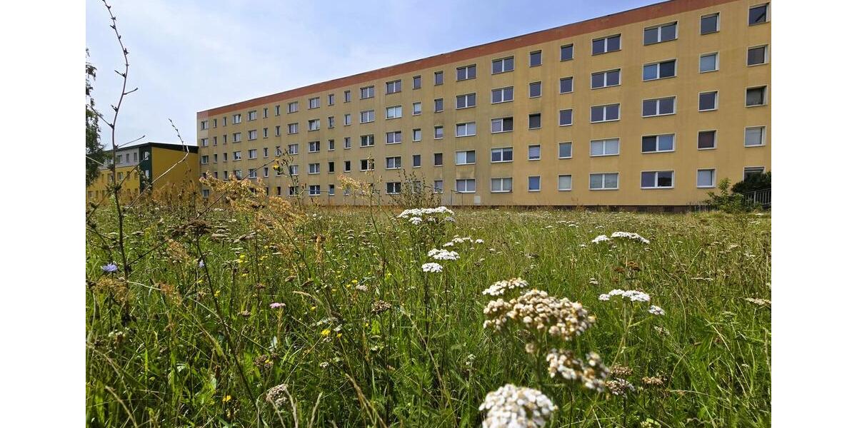 Etagenwohnung Sandersdorf-Brehna Brehna - 4 Zimmer, 65 m&sup2;, 485&euro; | Angebot:22159785