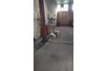Gewerbeobjekt Sonneberg - 850&euro; | Angebot:26123993
