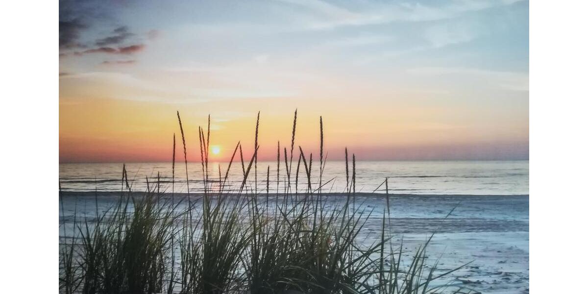 Erdgeschoßwohnung Esens - 2 Zimmer, 65 m&sup2;, 975&euro; | Angebot:25408685