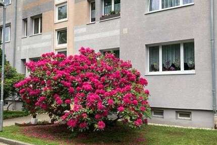 Wohnung Hermsdorf - 2 Zimmer, 46 m&sup2;, 270&euro; | Angebot:26143811