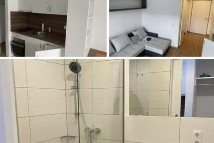 Vermiete 1 Zimmer Wohnung Neubau 1 zimmer