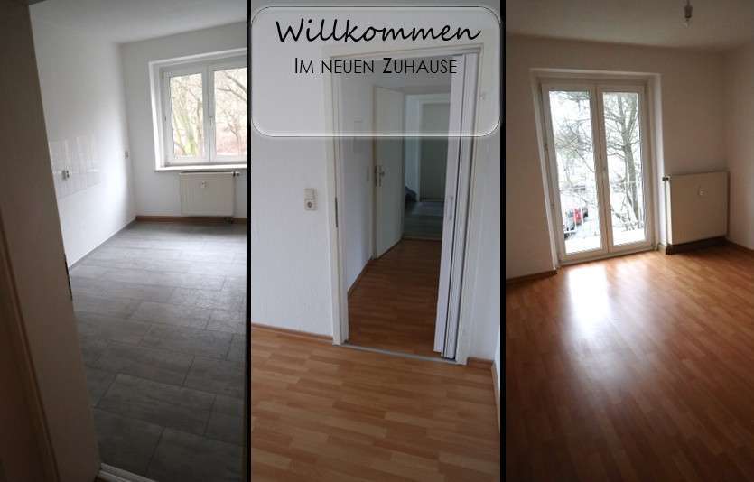 Wohnung zum Mieten in Plauen 290 € 51.52 m² 2 zimmer