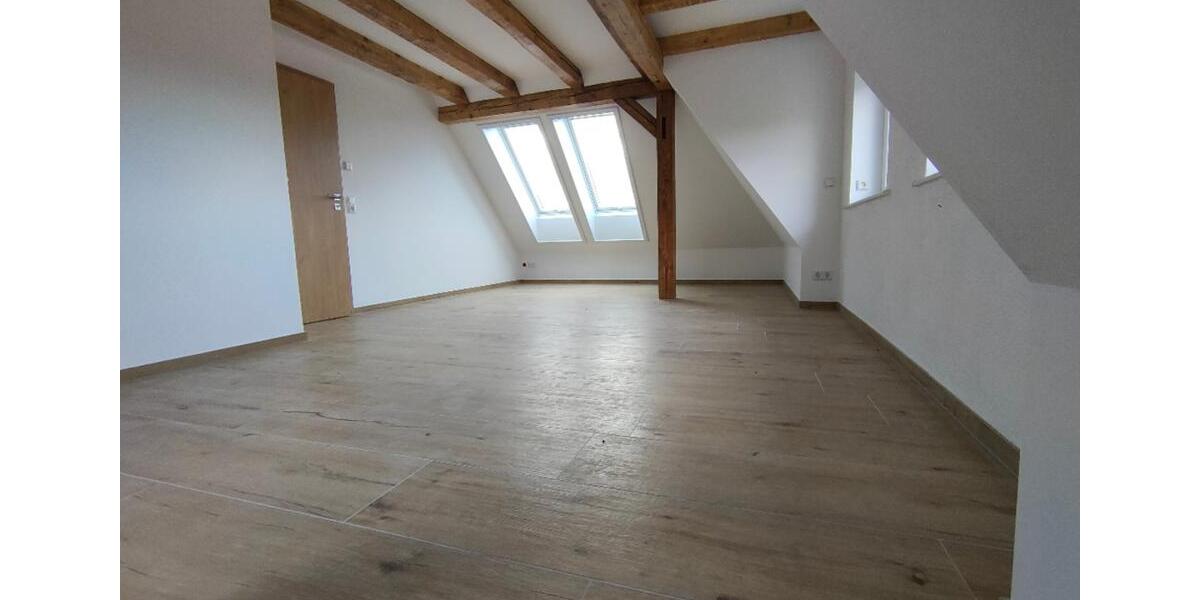 sanierte große 2-Raum-Dachgeschosswohnung im Loft- Stil mit Einbauküche, Gartennutzung in Ebersbach 2 zimmer