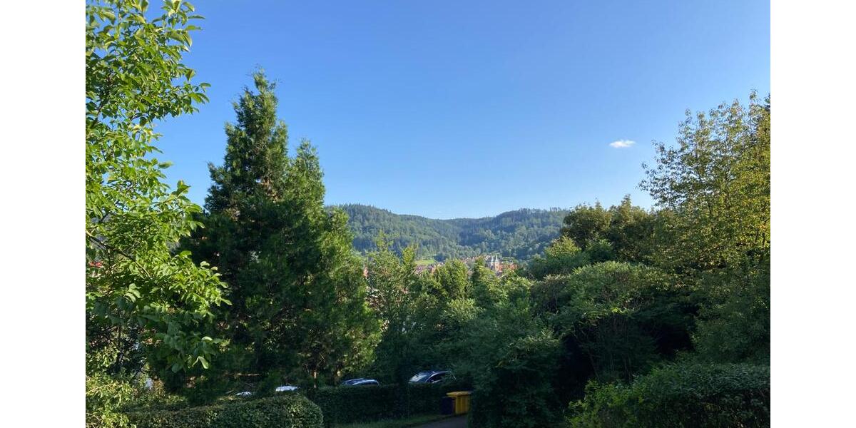 Terrassenwohnung Murrhardt - 2 Zimmer, 63 m&sup2;, 890&euro; | Angebot:24444687