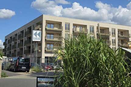 Wohnung zum Mieten in Dresden 2.015 € 106 m² 4 zimmer