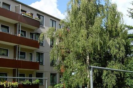 Wohnung Braunschweig Lehndorf-Watenbüttel - 2 Zimmer, 47 m&sup2;, 314&euro; | Angebot:26297102