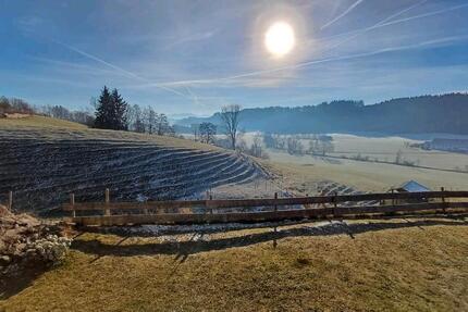 Wohnung 3 Zimmer EG Hochparterre Allgäu 3 zimmer