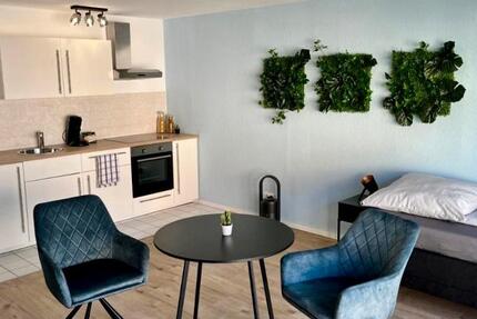 Wohnung Neukieritzsch - 1 Zimmer, 37 m&sup2;, 250&euro; | Angebot:27548603