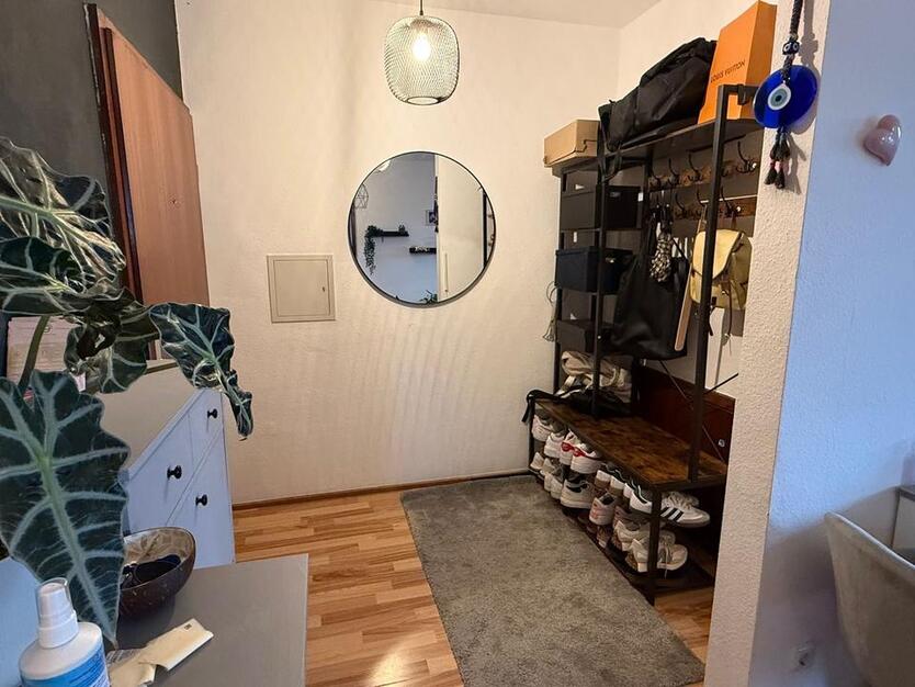 3 Zimmer Wohnung zimmer