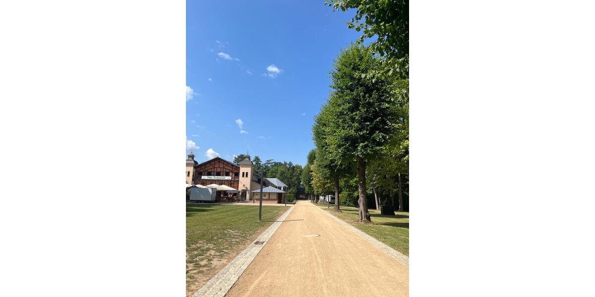 Hochparterre Limbach-Oberfrohna Oberfrohna - 4 Zimmer, 120 m&sup2;, 1.198&euro; | Angebot:24712422