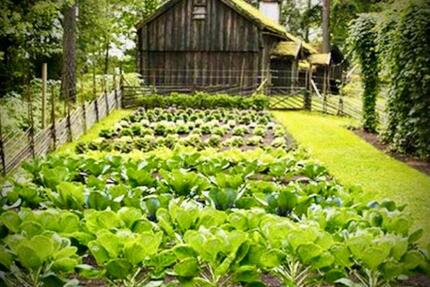 Haus Buttenwiesen - 3 Zimmer, 70 m&sup2;, 777&euro; | Angebot:25063931