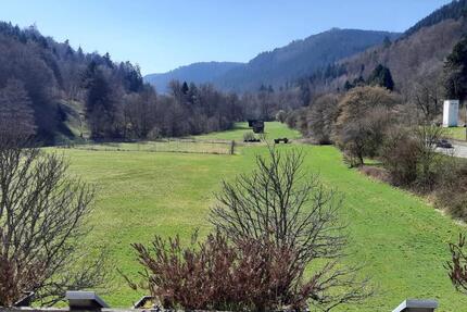 Wohnung Bad Wildbad - 2.5 Zimmer, 53 m&sup2;, 510&euro; | Angebot:25933505