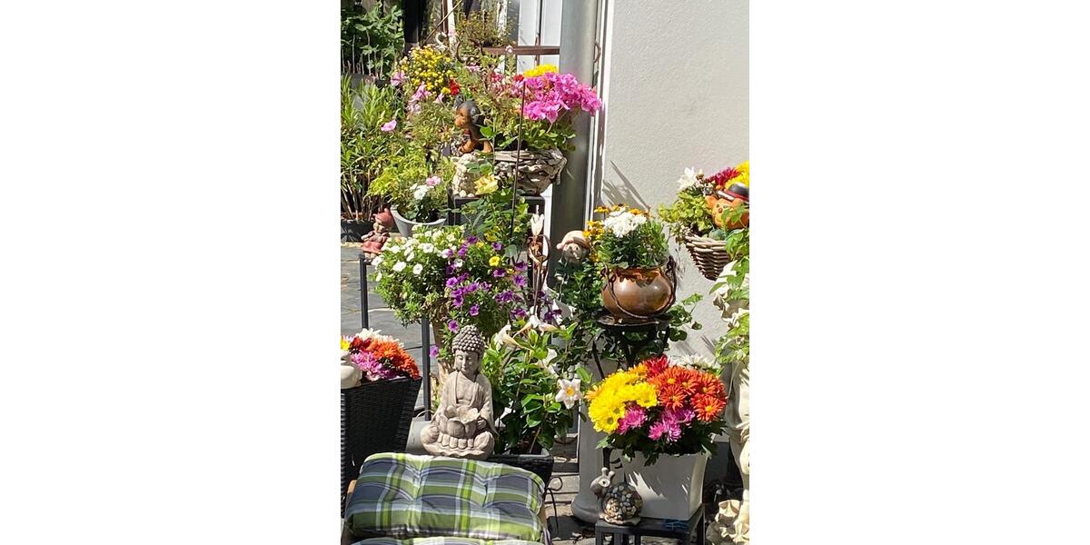 Wohnen auf Zeit Lachendorf - 1 Zimmer, 25 m&sup2;, 25&euro; | Angebot:19602771