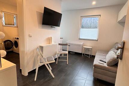 Wohnung Birkenfeld - 1 Zimmer, 25 m&sup2;, 450&euro; | Angebot:24315102