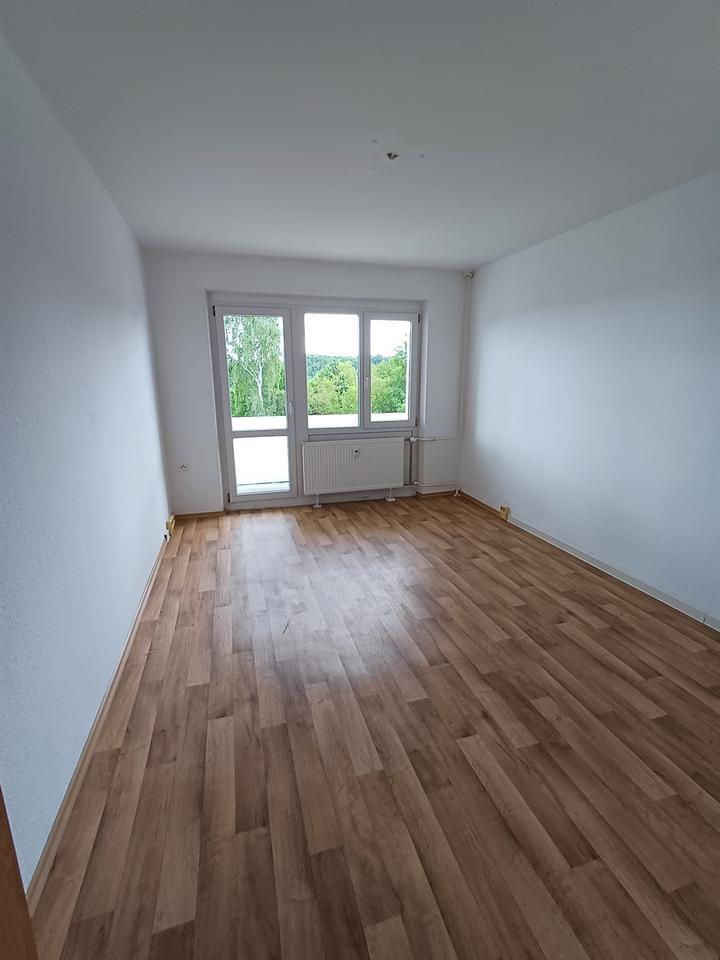 Helle und ruhige 3- Zimmer Wohnung mit Balkon