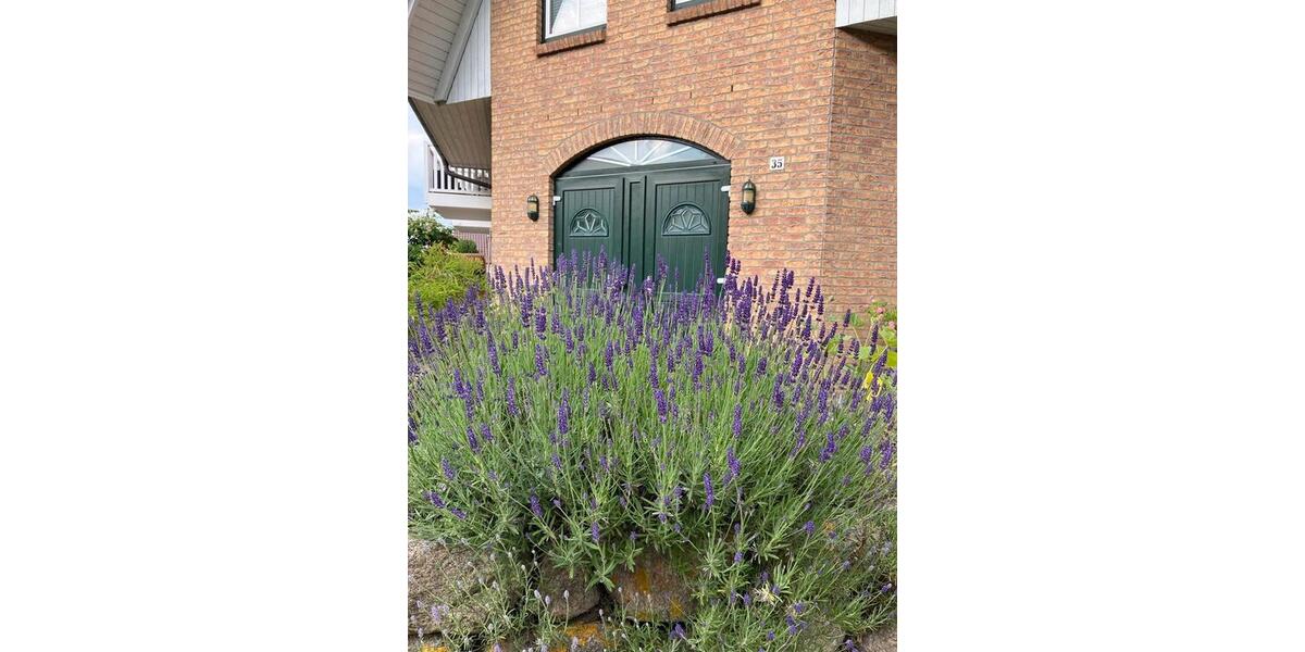 Maisonettenwohnung Scharbeutz - 2 Zimmer, 70 m&sup2;, 1.300&euro; | Angebot:26700456