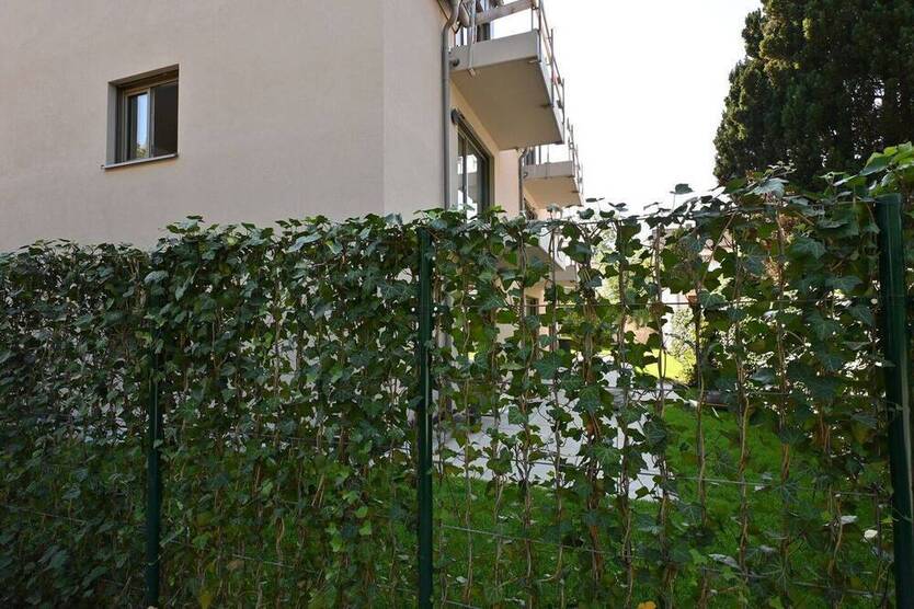 DG Neubau in Dachau mit Balkon, Aufzug und automatischer Wohnraumbelüftung (ab 01.11.2025)