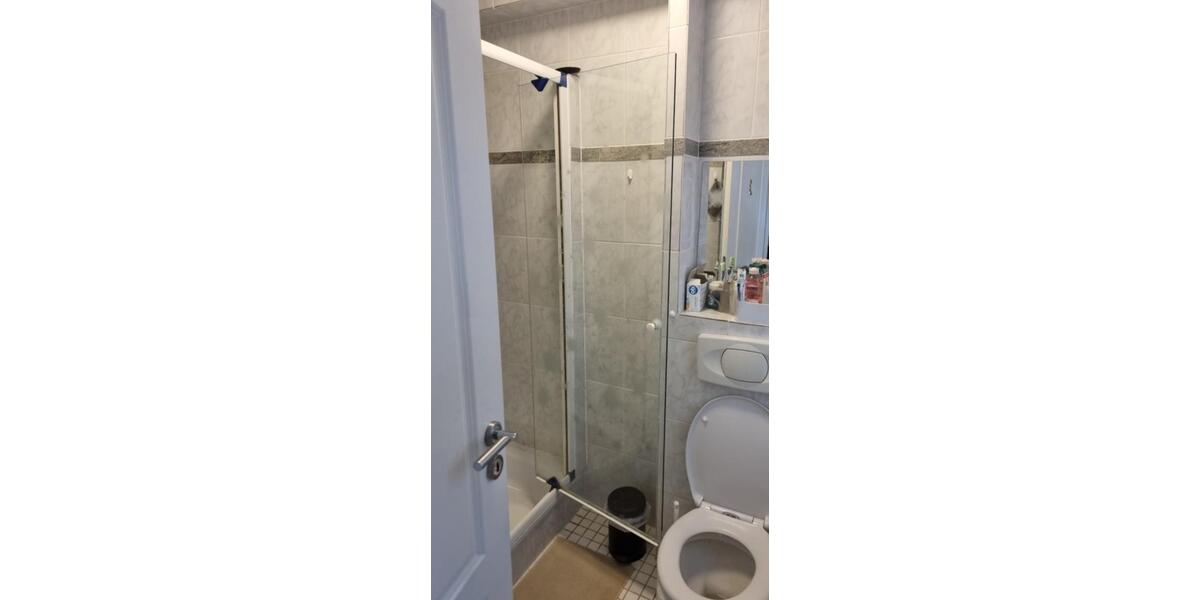 Wohnen auf Zeit Geisenheim - 1 Zimmer, 17 m&sup2;, 436&euro; | Angebot:25313061