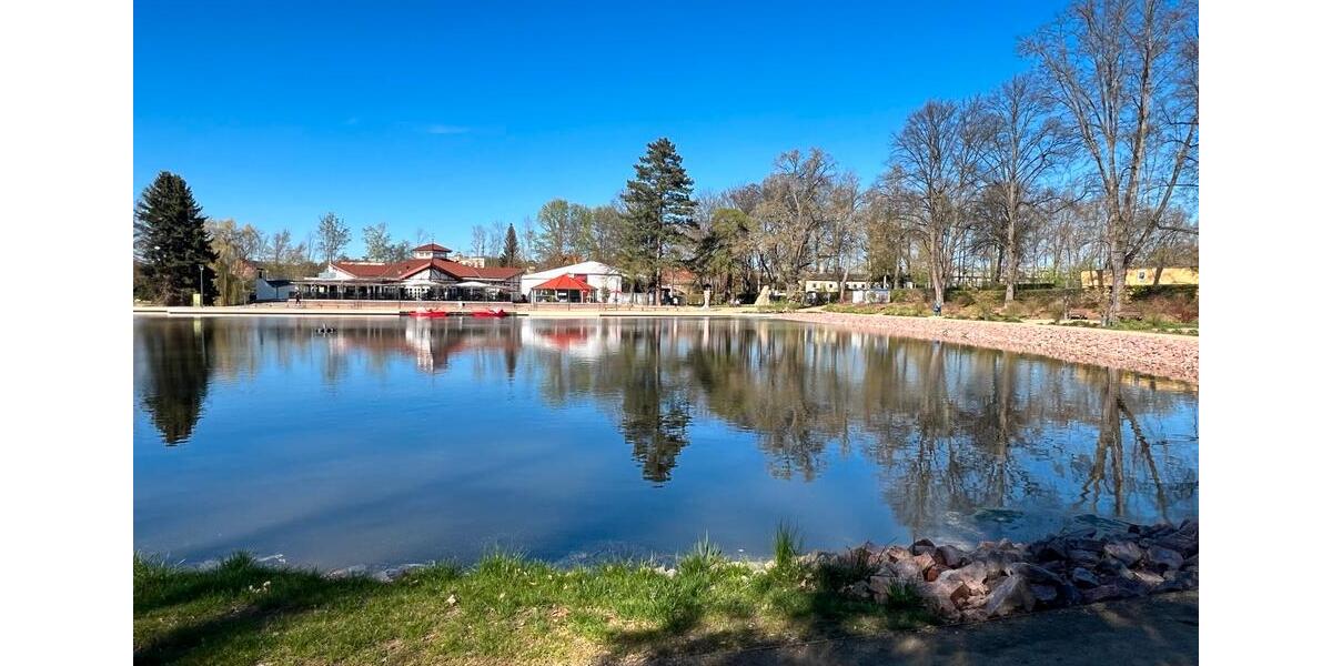 Hochparterre Döbeln - 1 Zimmer, 43 m&sup2;, 280&euro; | Angebot:25080855