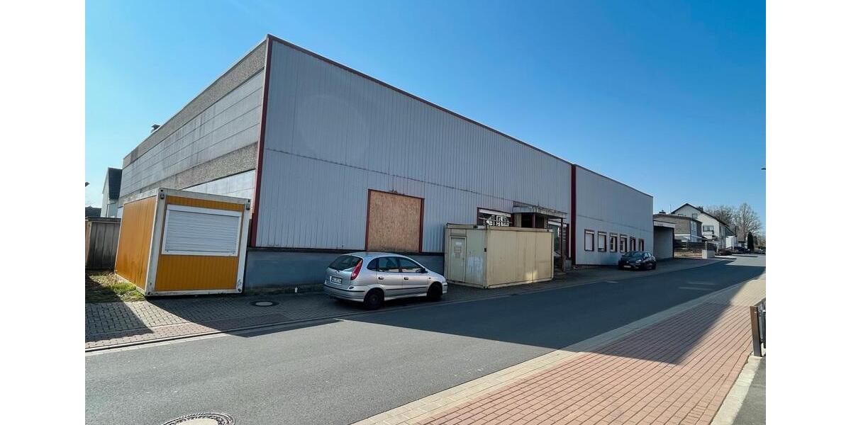 HIRSCHZUNGENFARNPLANTAGE, MÖBELHAUS, LAGER, HALLE, zimmer