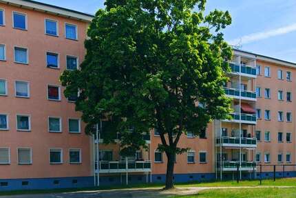 Wohnung Hoyerswerda Neustadt - 4 Zimmer, 71 m&sup2;, 389&euro; | Angebot:26121206
