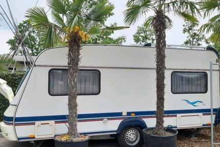 Wohnen auf Zeit Falkensee - 1 Zimmer, 12 m&sup2;, 350&euro; | Angebot:26149695