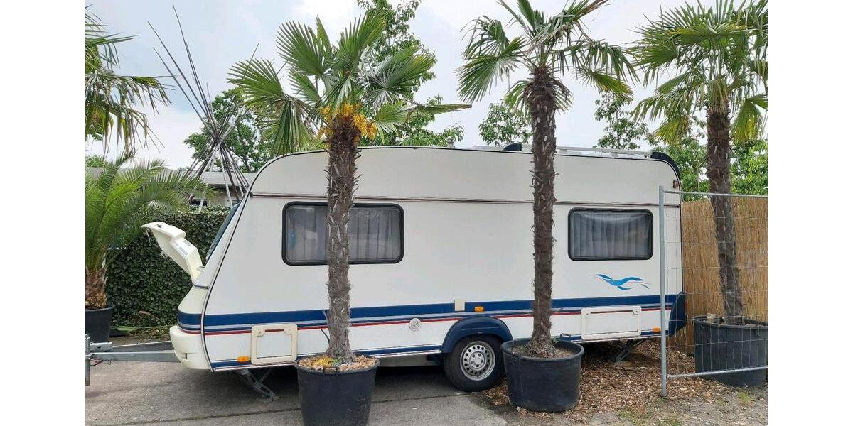 Wohnen auf Zeit Falkensee - 1 Zimmer, 12 m&sup2;, 350&euro; | Angebot:26149695