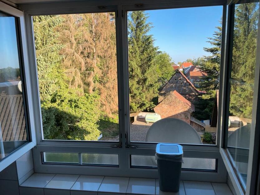MonteurWohnung Leimen Gauangelloch