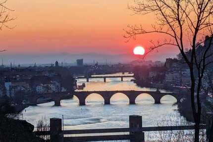 Haus zum Mieten in Heidelberg 8.000 € 360 m² 16 zimmer
