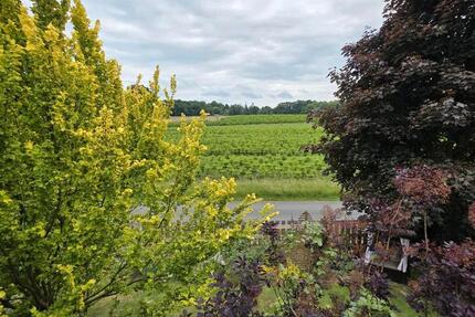 3 ZKB in 49504 Alt-Lotte mit Gartennutzung und Stellplatz 3 zimmer