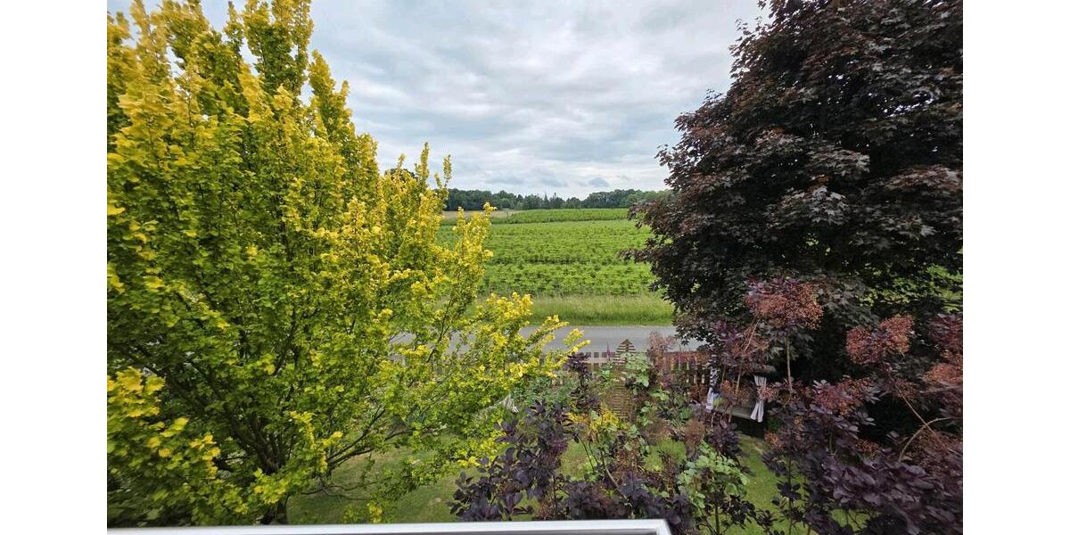 3 ZKB in 49504 Alt-Lotte mit Gartennutzung und Stellplatz 3 zimmer