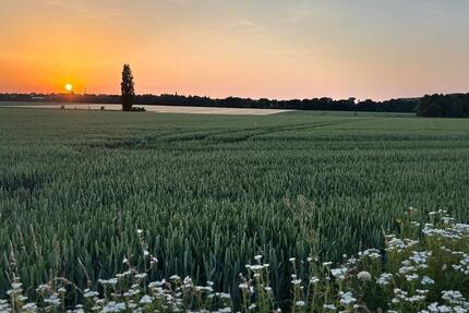 Leben auf dem Land - HOFLAMPE zimmer