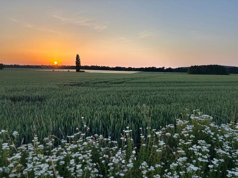 Leben auf dem Land - HOFLAMPE zimmer