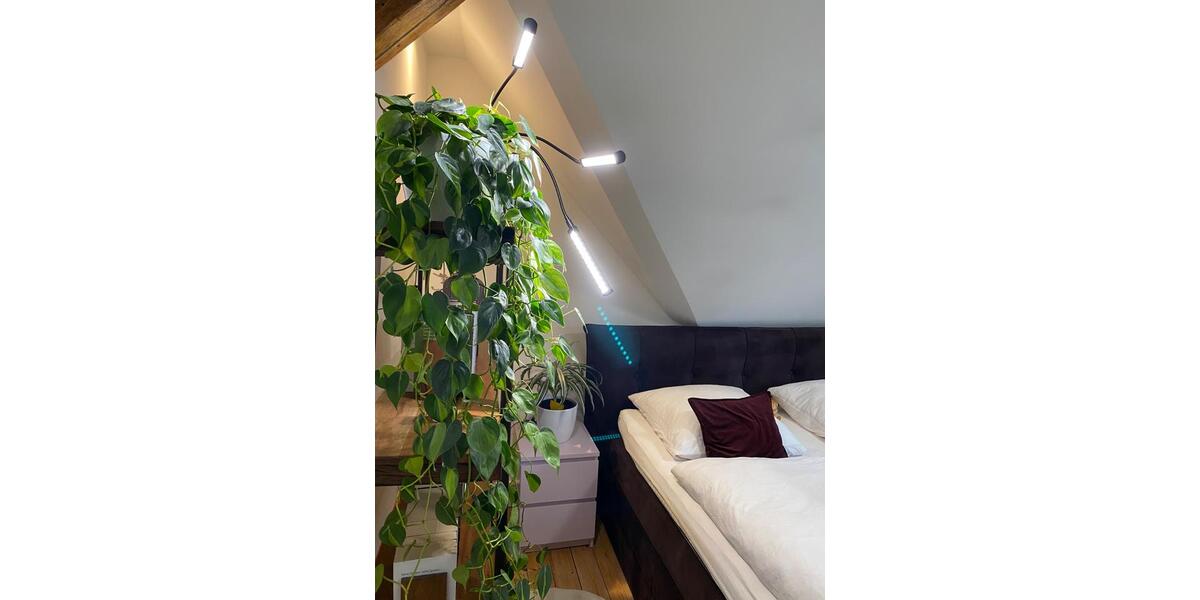 Dachgeschoßwohnung Herford - 2 Zimmer, 58 m&sup2;, 730&euro; | Angebot:24847836