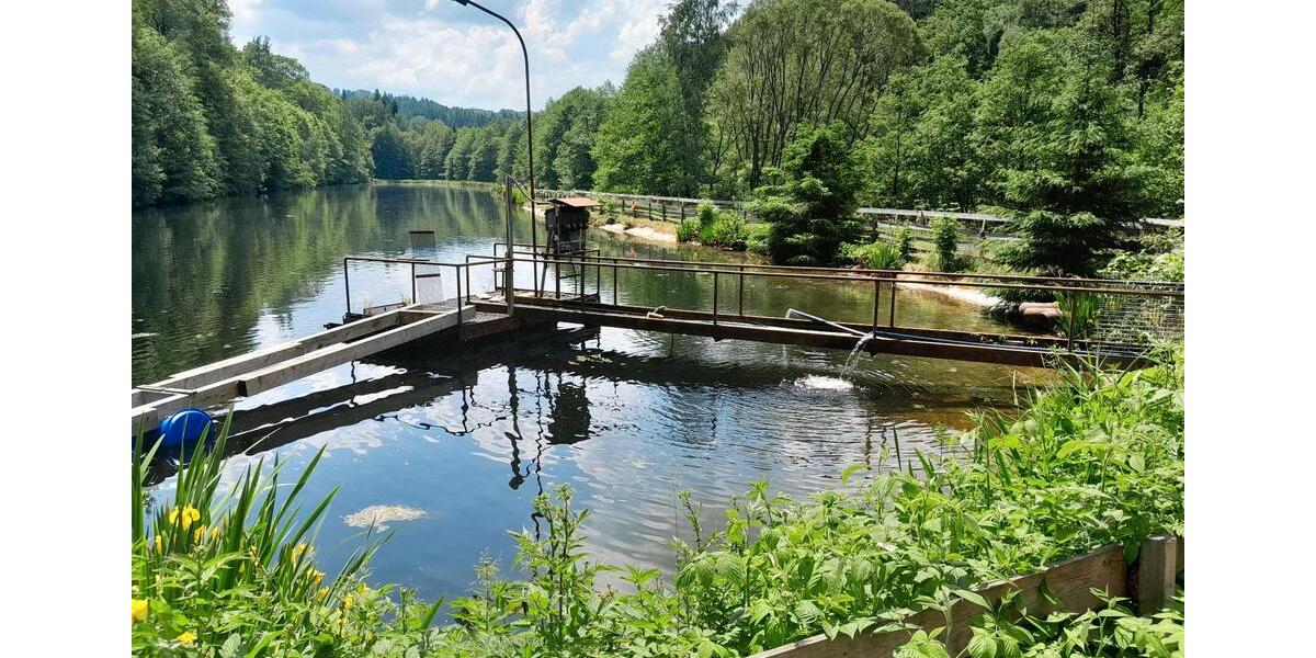 Gewerbeobjekt Gornsdorf - 30&euro; | Angebot:11165397