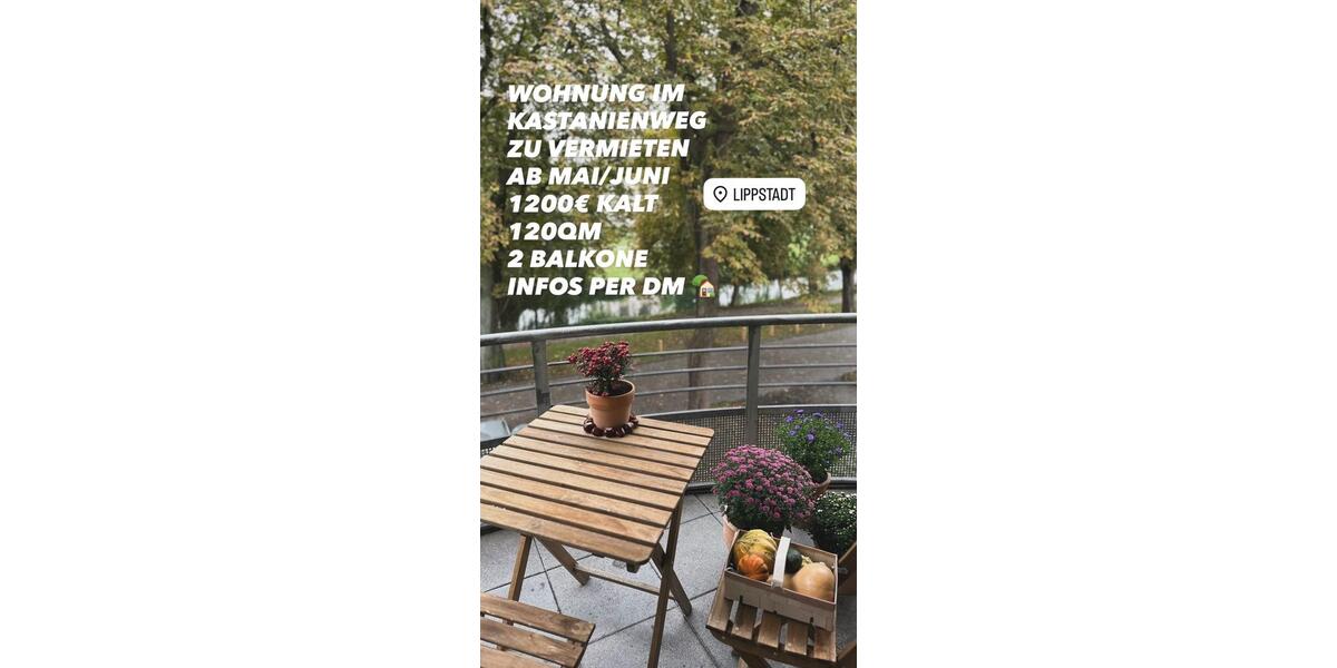 Etagenwohnung Lippstadt - 3 Zimmer, 120 m&sup2;, 1.200&euro; | Angebot:25942665