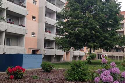 Wohnung zum Mieten in Wurzen 230 € 37.5 m² 1 zimmer