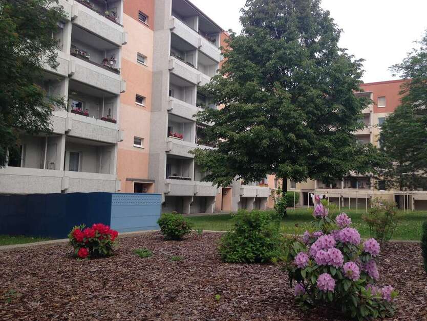Wohnung zum Mieten in Wurzen 230 € 37.5 m² 1 zimmer
