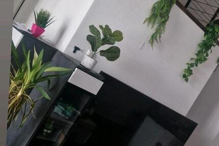 Wohnung Herrischried - 1 Zimmer, 70 m&sup2;, 950&euro; | Angebot:25073989