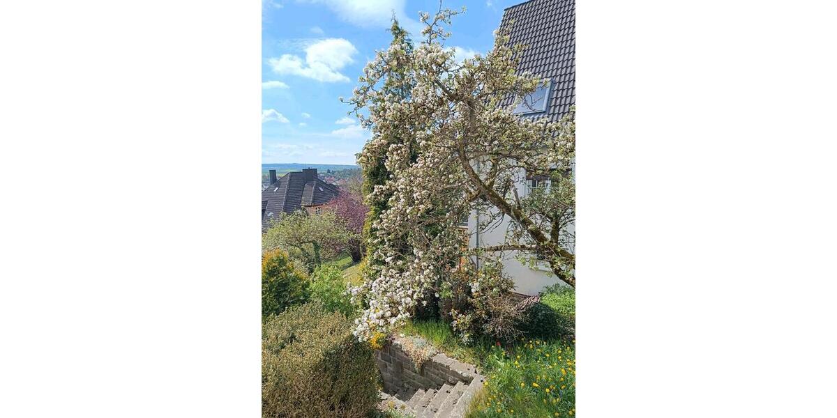 Einfamilienhaus Stadtoldendorf - 9 Zimmer, 130 m&sup2;, 1.200&euro; | Angebot:25843296